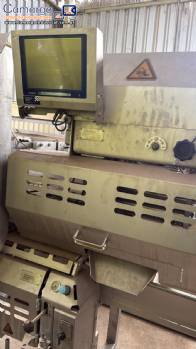 Filetadora de peito de frango Marel Stork AMF